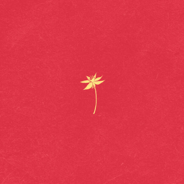 мц жесткое ограничение - золотой треугольник