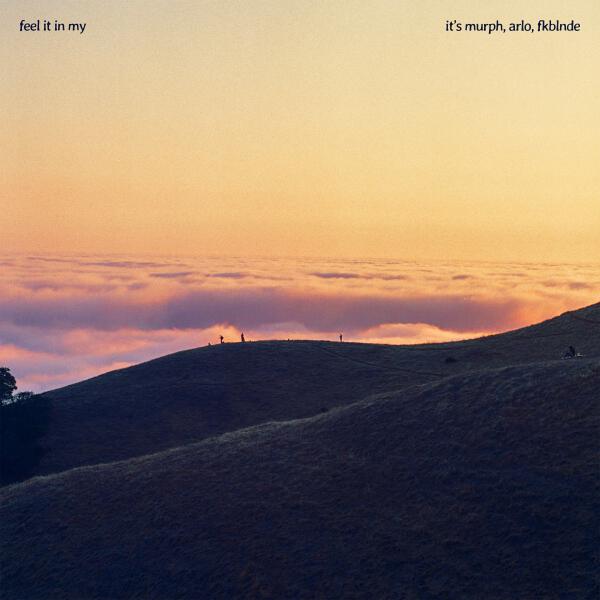 it's murph, Arlo, fkblnde - Feel it in My