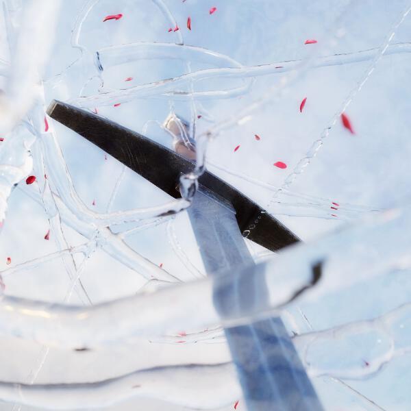 Jabo, Rasko - Не соперники